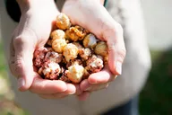 Bar Harbor Culinary Walking Tour thumbnail 2