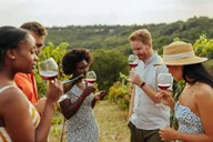 Charleston Wine Tasting and Tea Garden Tour thumbnail 5