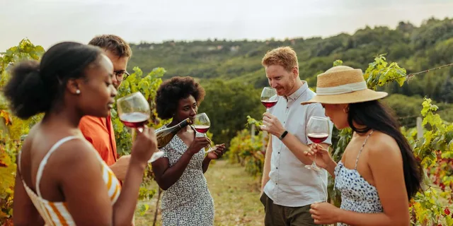 Charleston Wine Tasting and Tea Garden Tour - Image 5