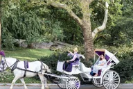 New York Central Park Carriage Ride thumbnail 2