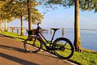 Sanford E-Bike Rental in Historic Downtown - 2 hr thumbnail 3