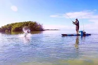 Tampa Motorized Fishing Kayak Rental 4 hr thumbnail 1