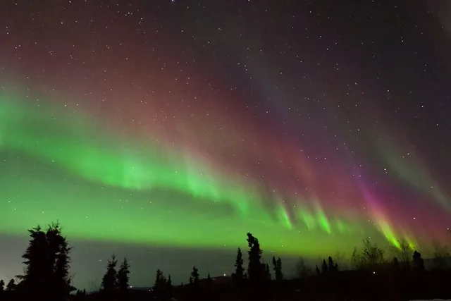 Fairbanks Aurora Chasing Tour - Image 2