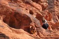 Las Vegas Valley of Fire Hiking Tour thumbnail 2