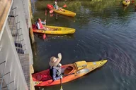 Sarasota Kayak Paddling Experience thumbnail 5