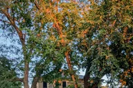 Providence Haunted Authors Walking Tour thumbnail 6