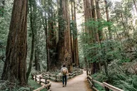 San Francisco Alcatraz and Muir Woods Day Trip thumbnail 2