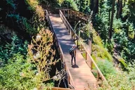 Big Sur Photo Tour with Professional Photographer thumbnail 5