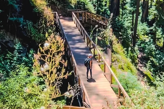 Big Sur Photo Tour with Professional Photographer - Image 5