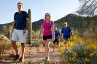 Scottsdale Sonoran Desert Guided Hike 2 hr thumbnail 4