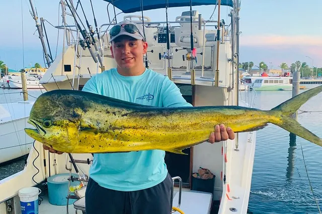 Key West Deep Sea Fishing Charter 4 Hr - Image 3