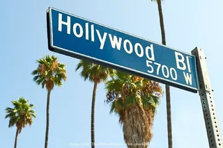 Los Angeles Highlights Private Driving Tour
