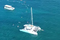 Waikiki Turtle Snorkel and Sail on Hawea Catamaran thumbnail 4