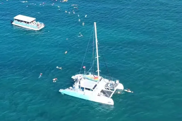 Waikiki Turtle Snorkel and Sail on Hawea Catamaran - Image 4