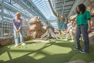 Bloomington Moose Mountain Adventure Golf thumbnail 1