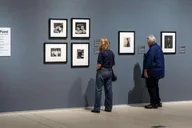 Tampa Museum of Art Admission Ticket thumbnail 4