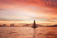 Lahaina Golden Hour Sail and Whale Watch thumbnail 3