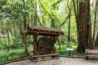 San Francisco Muir Woods and Sausalito Tour thumbnail 6