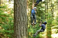 Lopez Island Canopy Climb at Sunset 4 hr thumbnail 5