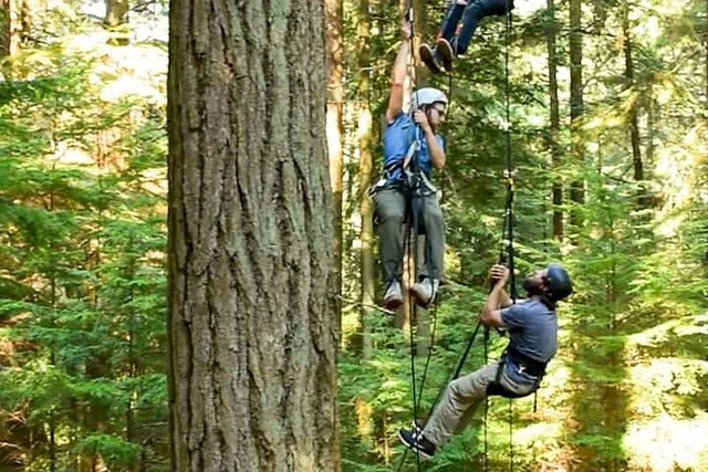 Lopez Island Canopy Climb at Sunset 4 hr - Image 5