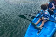 Miami Paddle Board or Kayak Rental thumbnail 6