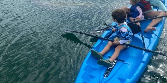 Miami Paddle Board or Kayak Rental - Image 6