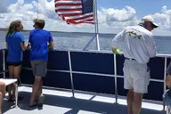 Panama City Dolphin Cruise at Sunset thumbnail 5