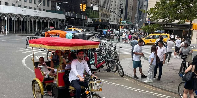 New York Central Park Pedicab Tour with Photo Stops - Image 1