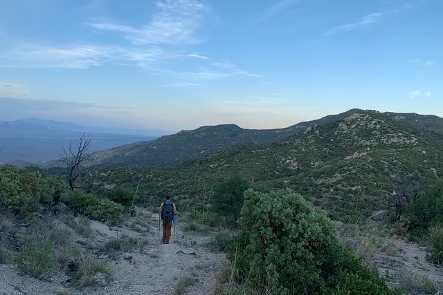 Tucson Guided Hikes in Saguaro National Park - Image 4