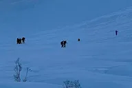 Fairbanks Snowshoe and Trek Pole Rental thumbnail 6