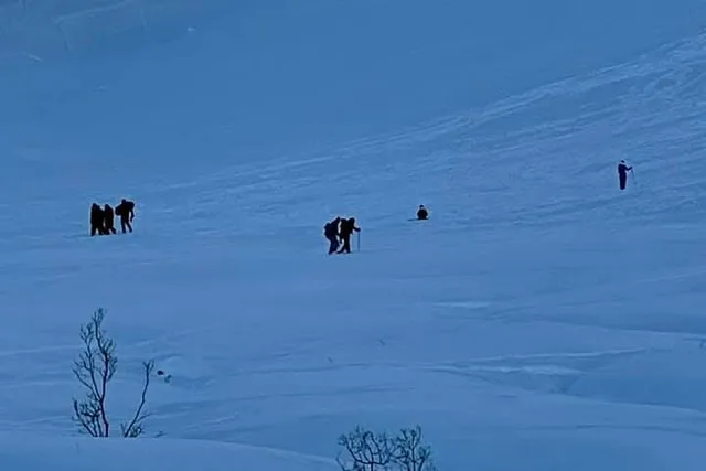 Fairbanks Snowshoe and Trek Pole Rental - Image 6