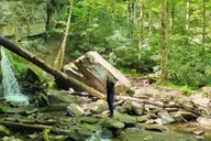 Gatlinburg Smoky Mountains Waterfall Hike 3.5 hr thumbnail 6