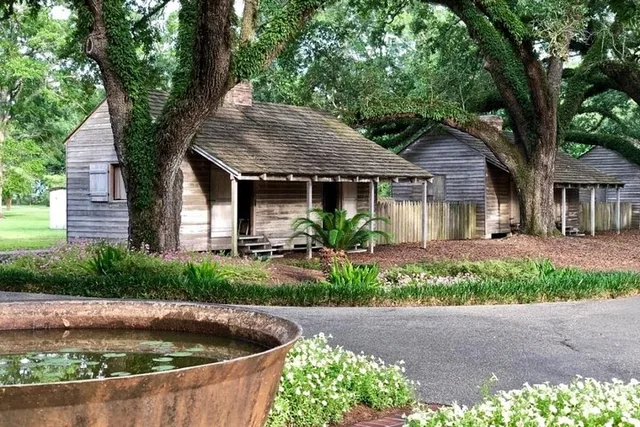 New Orleans Oak Alley Plantation and Airboat Tour - Image 6
