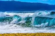 Honolulu Private Oahu Tour thumbnail 5
