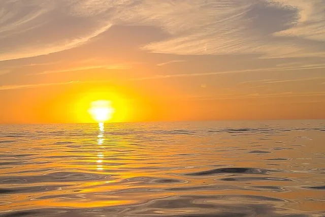 Sarasota Sandbar and Dolphin Watching Cruise - Image 4