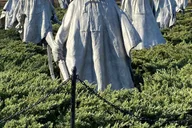 Washington DC Private Day Tour for up to 10 Guests thumbnail 5