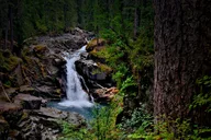 Seattle Mt. Rainier Private Tour thumbnail 3