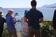 Ketchikan Alaska Native Cultural and Wildlife Tour 3 hr thumbnail 3
