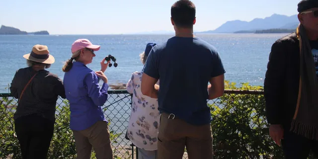 Ketchikan Alaska Native Cultural and Wildlife Tour 3 hr - Image 3