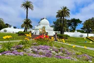San Francisco Guided Tour thumbnail 4