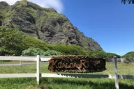 Oahu Circle Island Guided Tour thumbnail 6