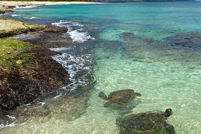 Ko Olina North Shore Adventure Tour - Image 3