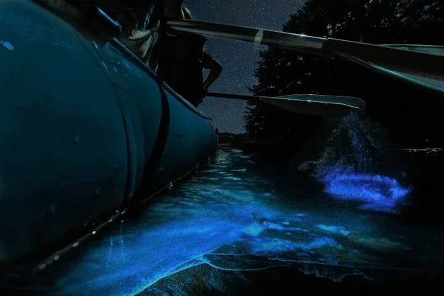 Cocoa Beach Bioluminescence Rafting Tour 90 min - Image 3