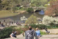 New York City Central Park Walking Tour thumbnail 1