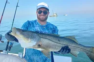 Sarasota Fishing Tour with Captain Bill Phillips 4 hr thumbnail 1