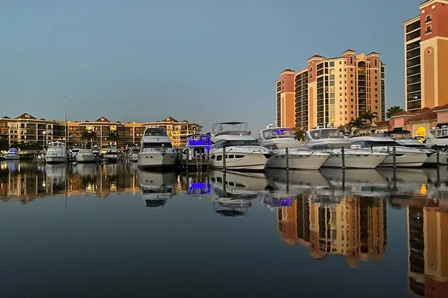 Cape Coral Dolphin Boat Tour - Image 4