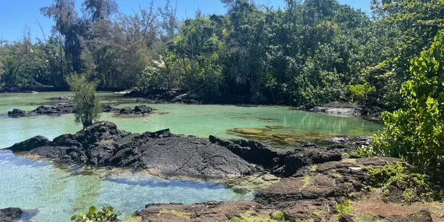 Hilo Sea Turtle Lagoon and Black Sand Beach Snorkel - Image 5