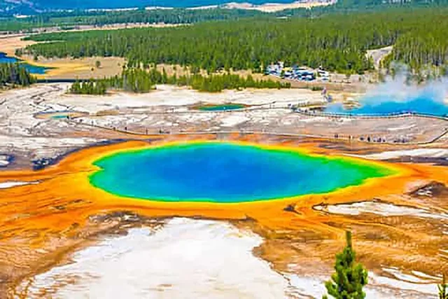 Yellowstone Park Private Full Day Tour - Image 4
