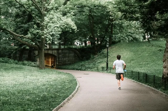 New York Walking Tour of Central Park - Image 6