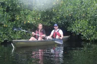 Everglades Mangrove Tunnel Kayak Eco Tour 3 hr thumbnail 2